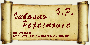 Vukosav Pejčinović vizit kartica